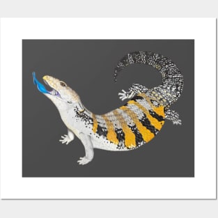 Blue Tongue Skink Posters and Art